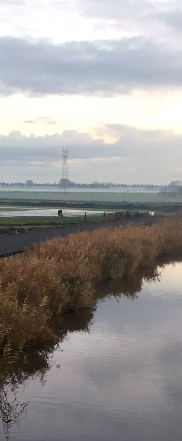 20171129 Jisperdijk.jpeg