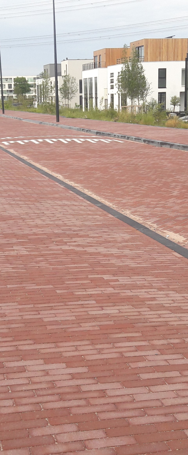 Schokkerjachtdijk.jpg
