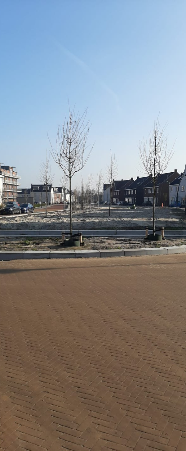 spaarnebuiten (4).jpeg