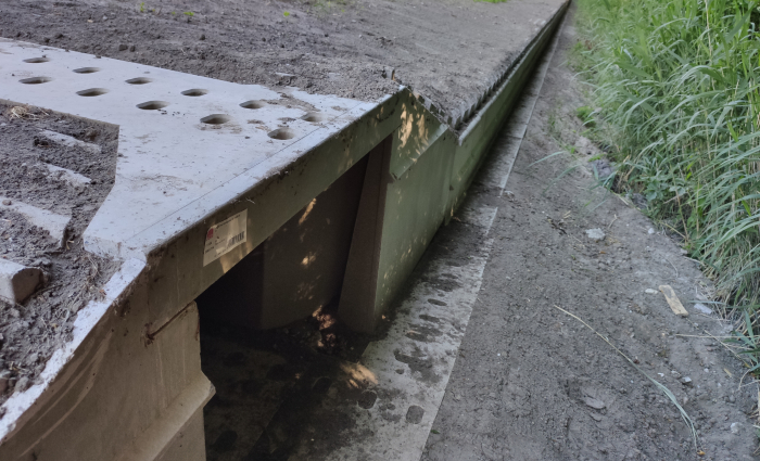 Paddentunnels Leemringweg 5.jpg