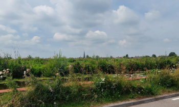 KWS Kousweg