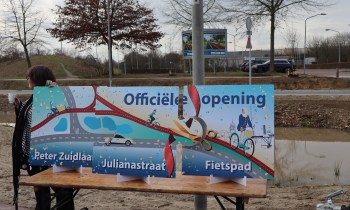 Peter Zuidlaan - Julianastraat (1).JPG