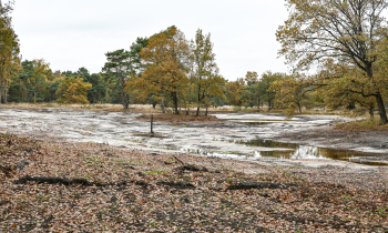 Romers Grondverzet kleine meer 2