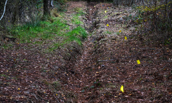Romers Grondverzet kleine meer 5
