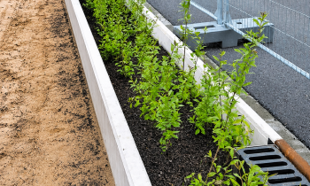 Mini Raingarden Tilburg.png