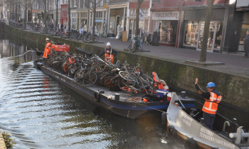 DSC_0071.JPG