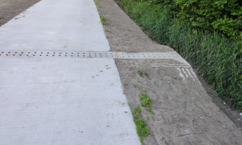 Paddentunnels Leemringweg 7.jpg