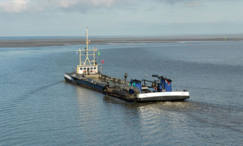 Waddenzee.jpg