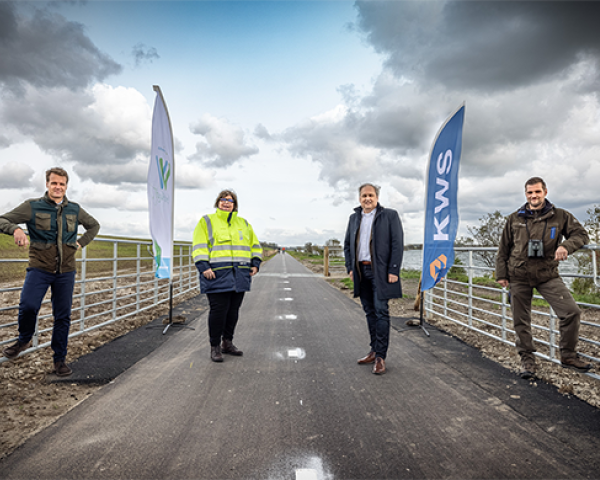 MicrosoftTeams-image (12).png