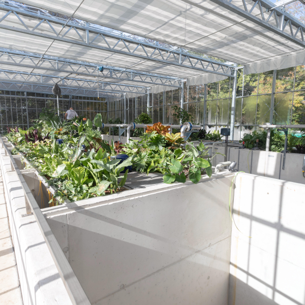 20181008 Biomakerij 012-019_1.jpg